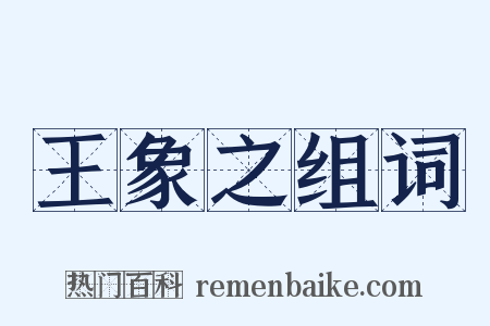 王象之组词是什么意思的图片